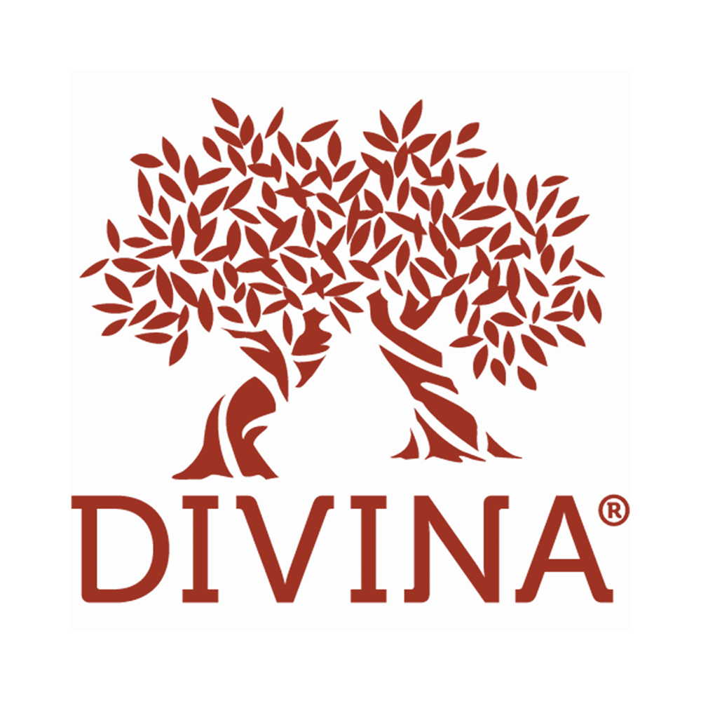 Divina Logo Image