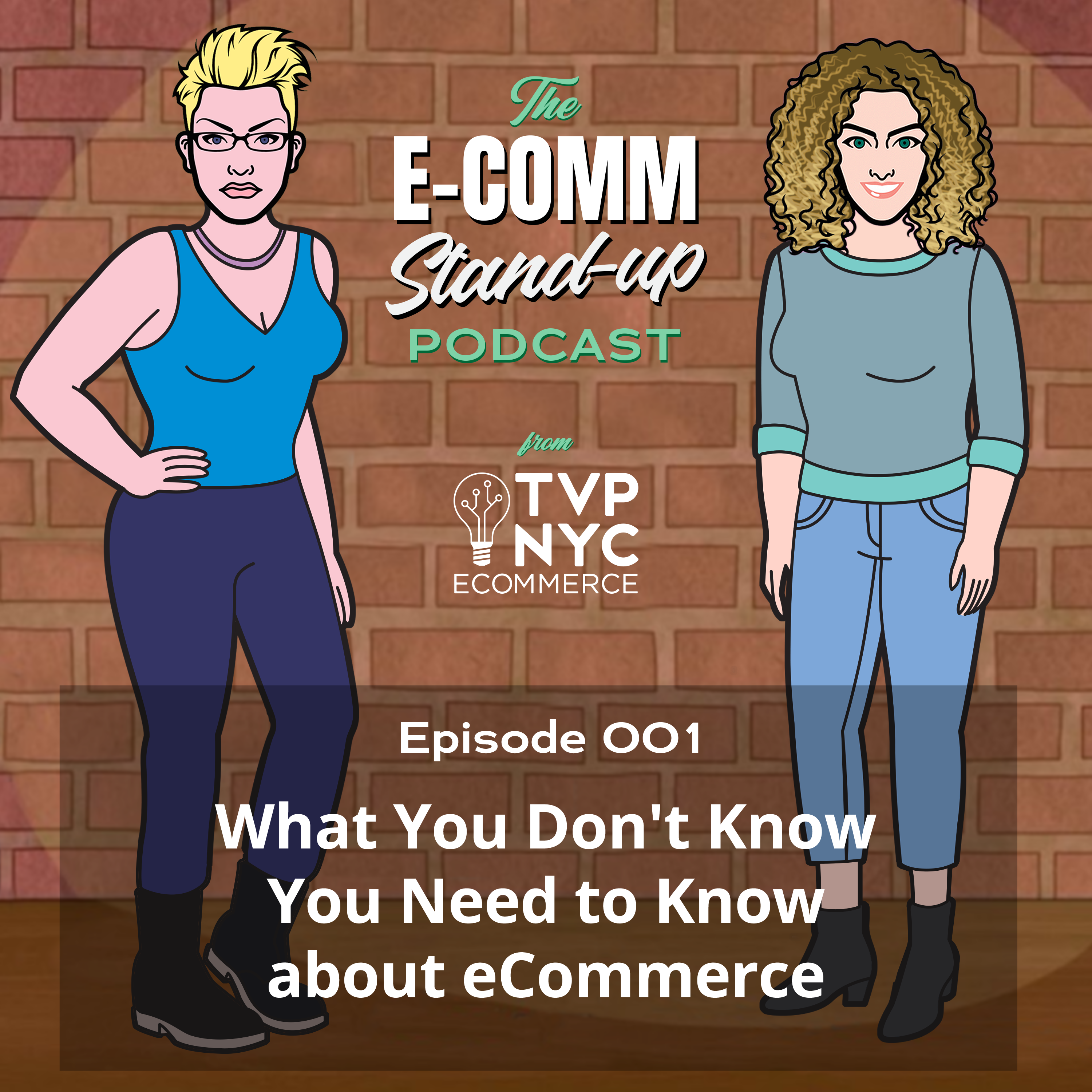 [Podcast] What you Don't Know you Need to Know about eCommerce