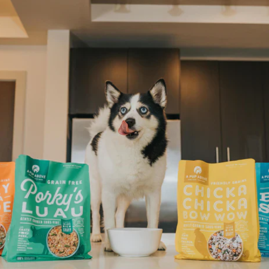 A Pup Above: It's a Dog's Life!