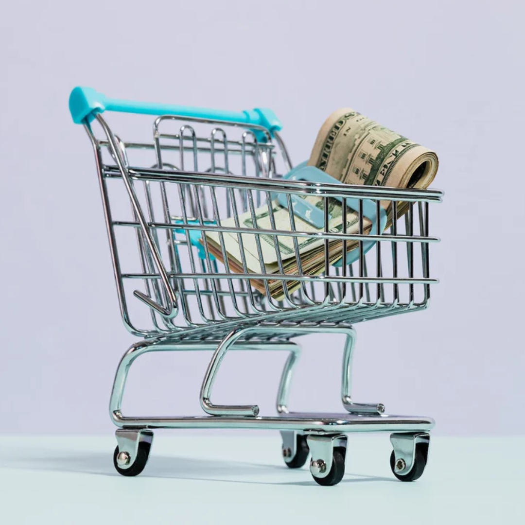 checkout-optimization-shopify-money-in-a-shopping-cart