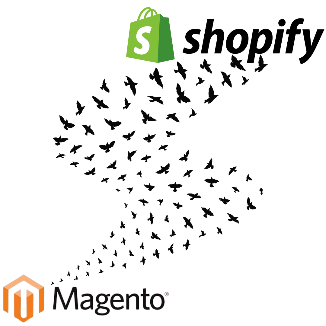 A graphic image showing the Magento logo at the left bottom with a flock of migrating birds flying towards the Shopify logo in the top right corner. The graphic signifies a migration from Magento to Shopify.