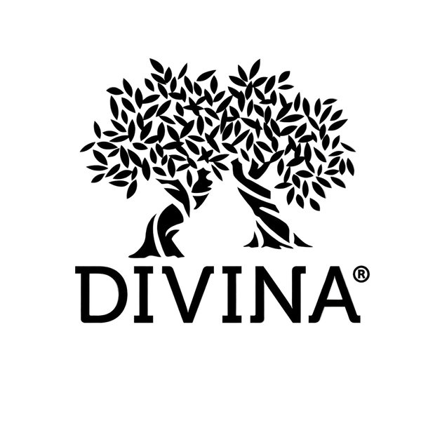 Divina logo with stylized tree design on a white background
